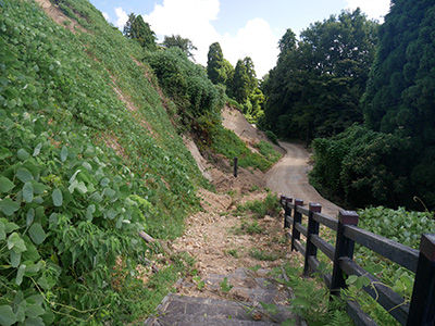 龍ヶ峰城