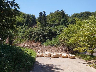 笠野鳥越城