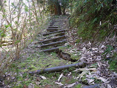 穴水城　能登半島地震の被害状況