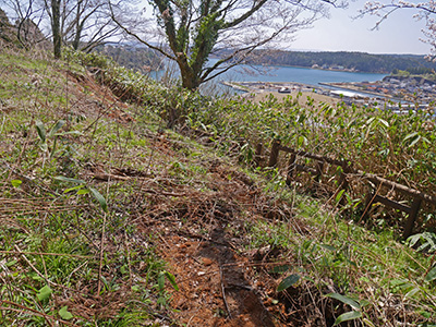 穴水城　能登半島地震の被害状況