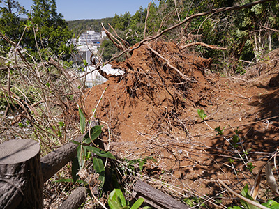 穴水城　能登半島地震の被害状況