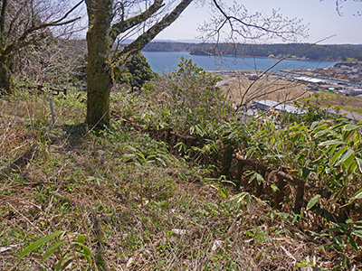 穴水城　能登半島地震の被害状況