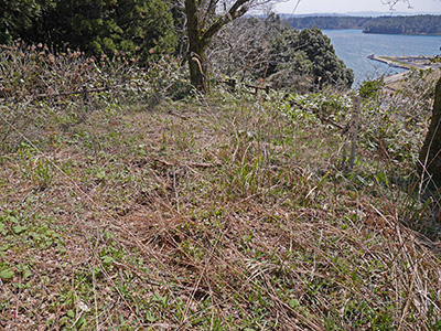 穴水城　能登半島地震の被害状況