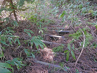 穴水城　能登半島地震の被害状況