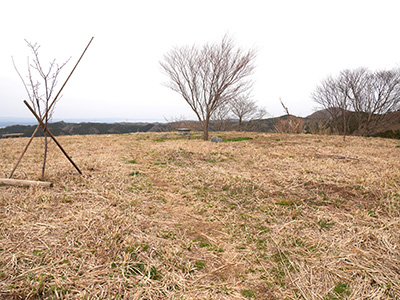 荒山城　能登半島地震の被害状況