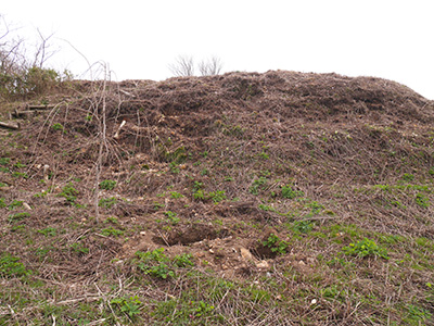 荒山城　能登半島地震の被害状況