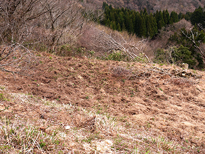 荒山城　能登半島地震の被害状況