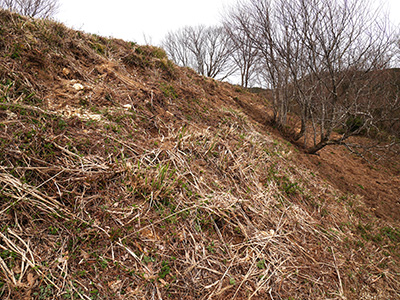 荒山城　能登半島地震の被害状況