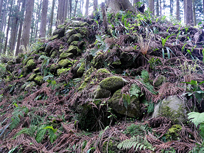 舟岡山城　能登半島地震の被害状況