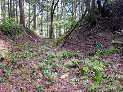 舟岡山城　能登半島地震の被害状況