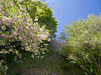 小丸山城