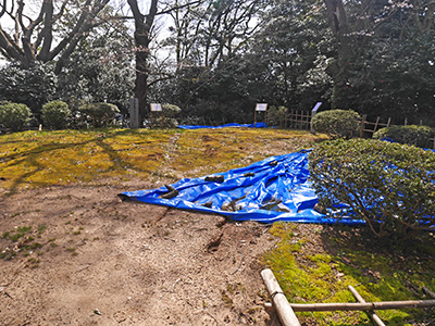 小丸山城　能登半島地震の被害状況