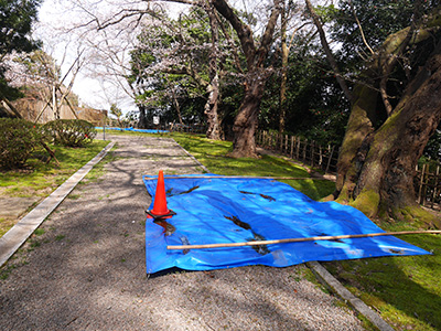 小丸山城　能登半島地震の被害状況