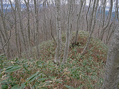 石動山の城砦　能登半島地震の被害状況