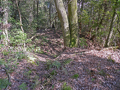 末森城　能登半島地震の被害状況