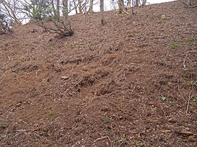 鳥越城　能登半島地震の被害状況