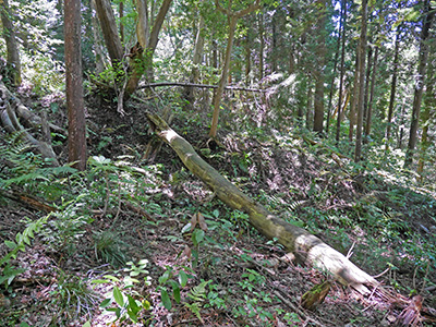 飯田城　能登半島地震の被害状況