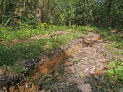 木尾嶽城　能登半島地震の被害状況