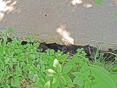 木尾嶽城　能登半島地震の被害状況