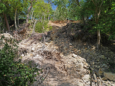 松波城　能登半島地震の被害状況