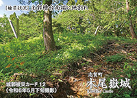 木尾嶽城