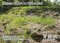 背継城