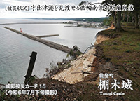 棚木城