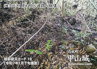 甲山城
