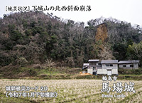 馬場城