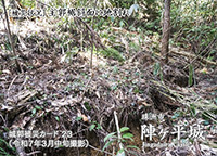 陣ヶ平城