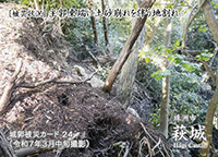 萩城