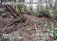 神和住城