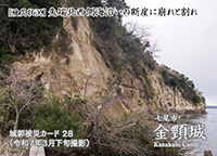 金頸城