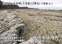 珠洲市狼煙町