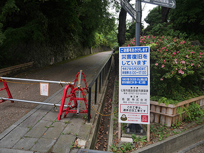 御城印　小丸山城　夏ver.の再配布を始めます