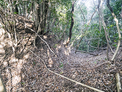 徳丸城の堀切　新発見