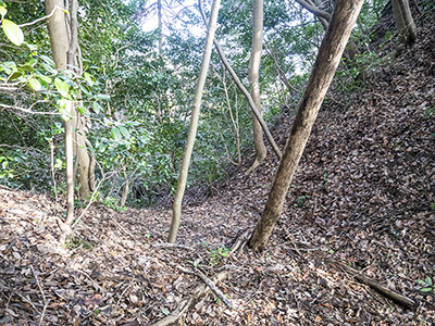 徳丸城の堀切　新発見