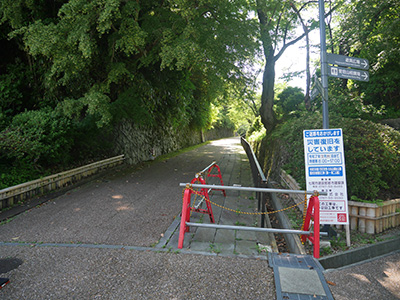 小丸山城公園　アジサイが見頃です