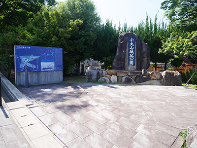 小丸山城公園　アジサイが見頃です