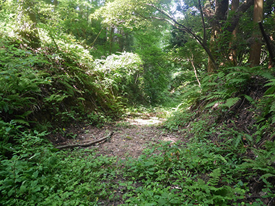 荒山城
