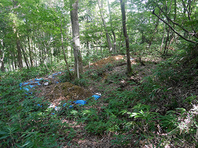 荒山城