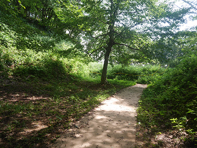 松根城