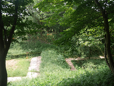 松根城