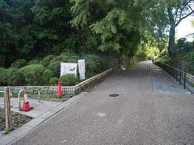 小丸山城