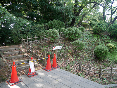 小丸山城